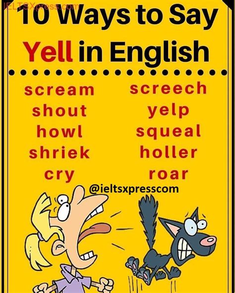 yell synonyms|49 Synonyms of YELL .